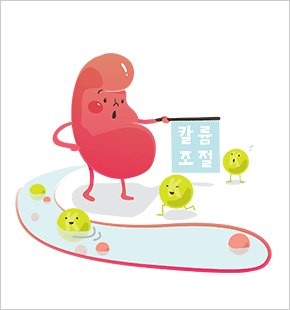 칼륨(포타슘)의 섭취를 조절