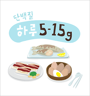 매끼 식사를 통해 꾸준히 단백질을 섭취