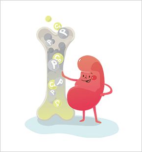 전해질 균형을 유지