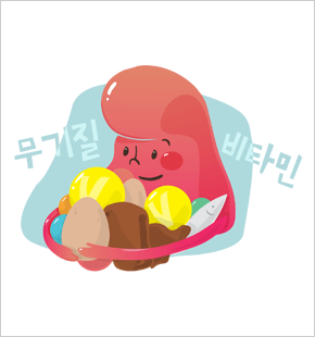 3대 영양소 흡수에 필요한 비타민과 무기질