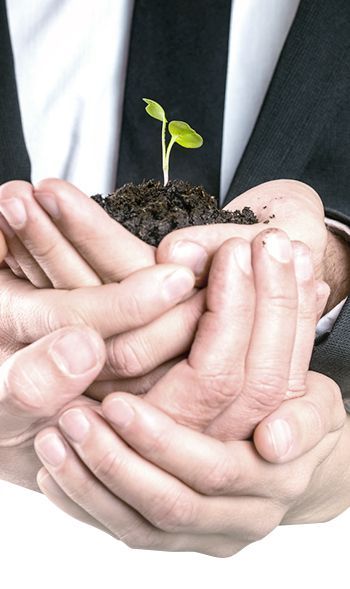 겹쳐진 손들위에 올려져 있는 흙더미위에 솟은 작은 싹